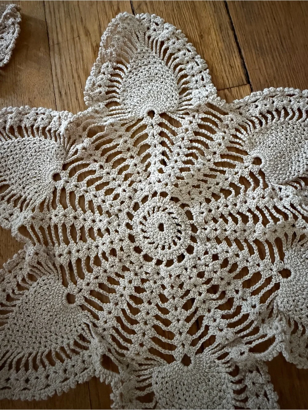 Handmade Crocheted Floral Doilies Pair in Cream